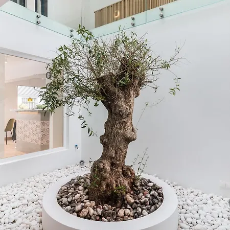 Отель Linda Boutique 4*